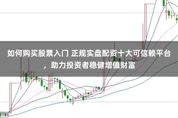 如何购买股票入门 正规实盘配资十大可信赖平台，助力投资者稳健增值财富