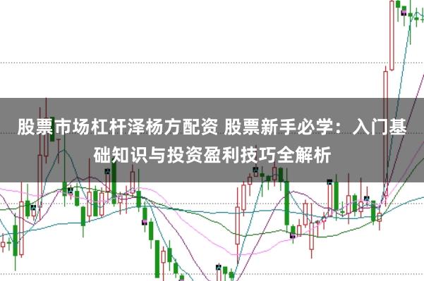 股票市场杠杆泽杨方配资 股票新手必学:入门基础知识与投资盈利技巧全解析