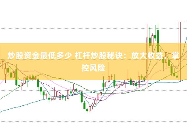 炒股资金最低多少 杠杆炒股秘诀：放大收益，掌控风险