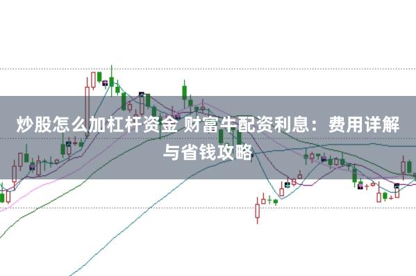 炒股怎么加杠杆资金 财富牛配资利息：费用详解与省钱攻略