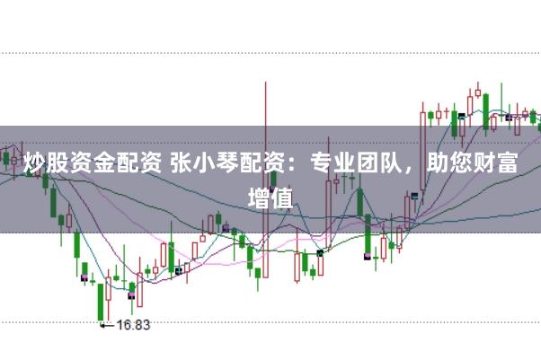 炒股资金配资 张小琴配资：专业团队，助您财富增值