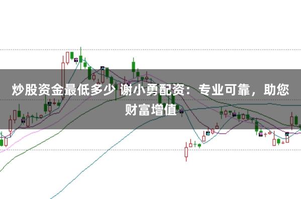 炒股资金最低多少 谢小勇配资:专业可靠,助您财富增值