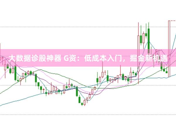 大数据诊股神器 G资：低成本入门，掘金新机遇