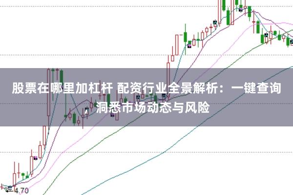股票在哪里加杠杆 配资行业全景解析：一键查询，洞悉市场动态与风险