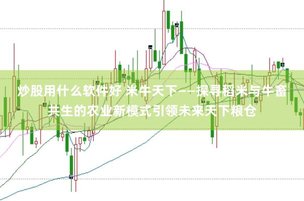 炒股用什么软件好 米牛天下——探寻稻米与牛畜共生的农业新模式引领未来天下粮仓