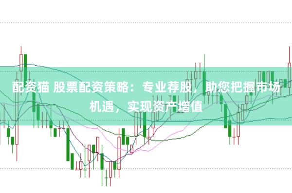 配资猫 股票配资策略：专业荐股，助您把握市场机遇，实现资产增值