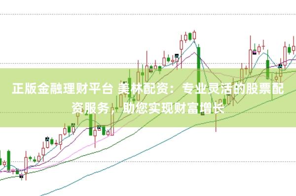 正版金融理财平台 美林配资：专业灵活的股票配资服务，助您实现财富增长
