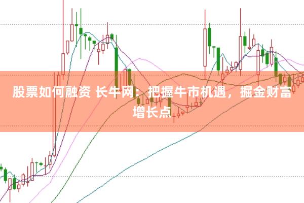股票如何融资 长牛网：把握牛市机遇，掘金财富增长点