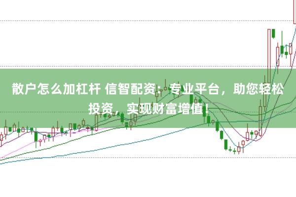 散户怎么加杠杆 信智配资:专业平台,助您轻松投资,实现财富增值!