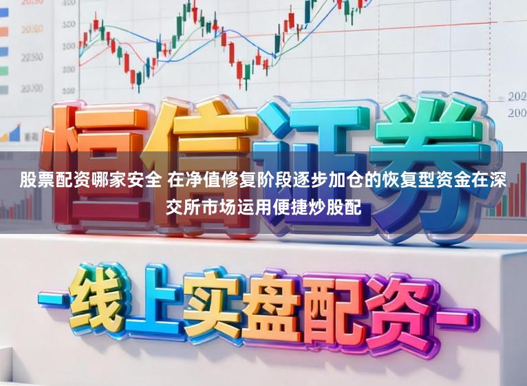 股票配资哪家安全 在净值修复阶段逐步加仓的恢复型资金在深交所市场运用便捷炒股配