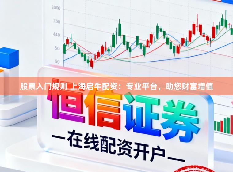 股票入门规则 上海启牛配资：专业平台，助您财富增值