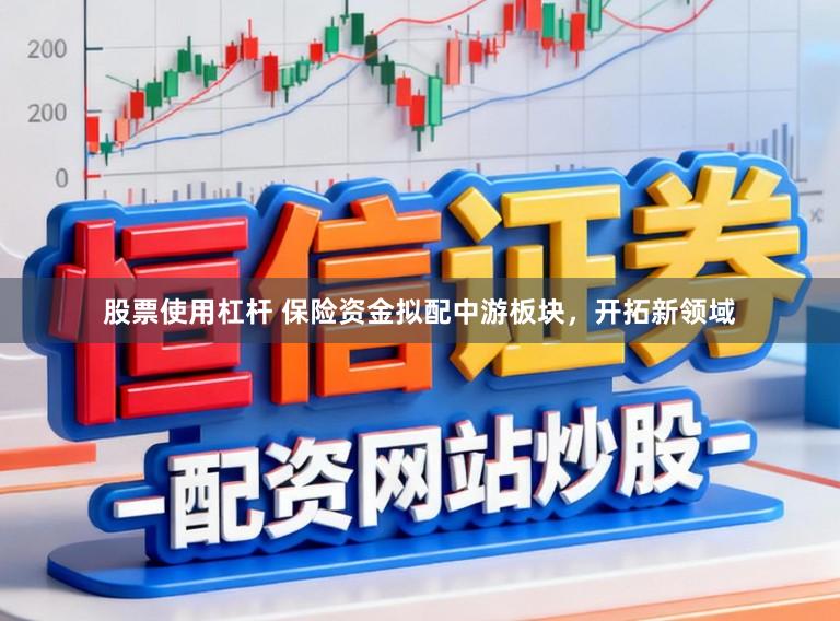 股票使用杠杆 保险资金拟配中游板块，开拓新领域